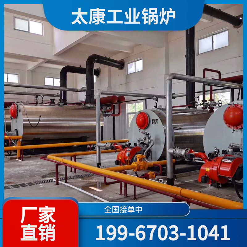 萍乡生物质导热油锅炉