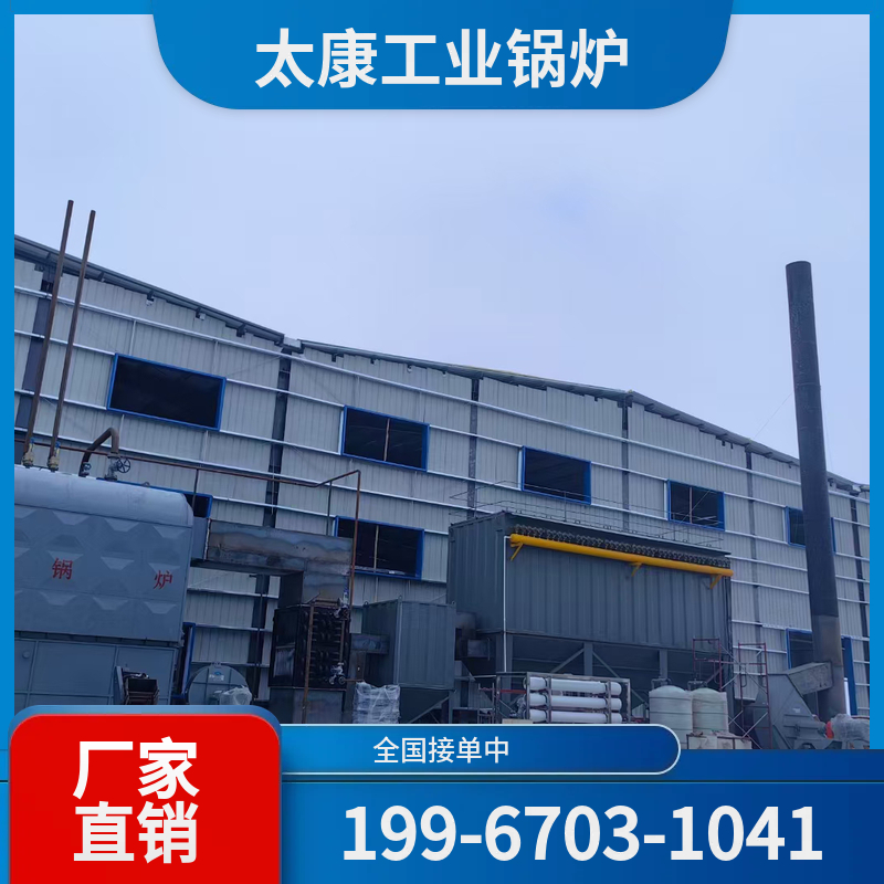 萍乡燃气导热油锅炉